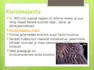 Sõnajalgtaimed #15