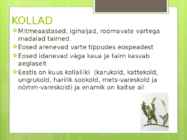 Sõnajalgtaimed #5