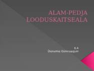 ALAM-PEDJA LOODUSKAITSEALA