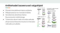 Valgukiibid #7