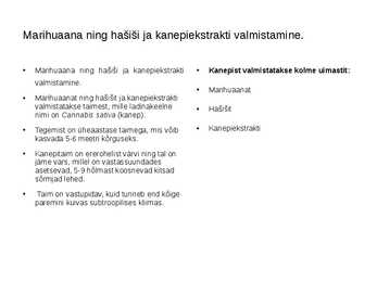 Kanep #3