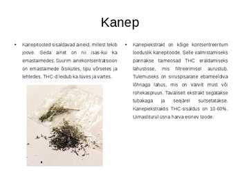Kanep #4