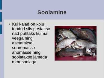 Kala kuivatamine #3