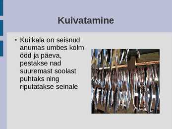 Kala kuivatamine #4