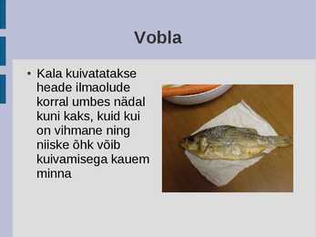 Kala kuivatamine #5