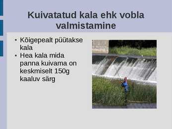 Kala kuivatamine