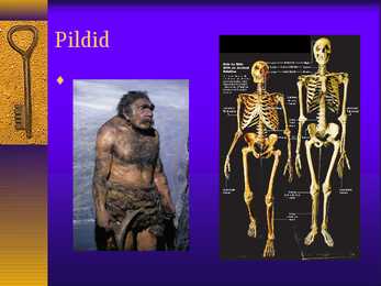 Neandertallased powerpoint #6