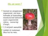 Powerpointi esitlus seentest #2