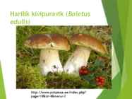 Powerpointi esitlus seentest #15