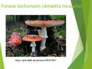 Powerpointi esitlus seentest #19
