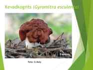 Powerpointi esitlus seentest #21
