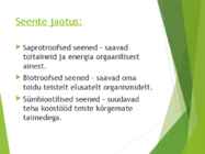 Powerpointi esitlus seentest #4