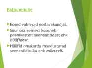 Powerpointi esitlus seentest #7