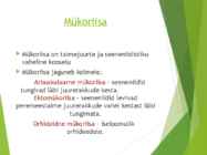 Powerpointi esitlus seentest #9