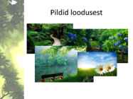 Halvad näited esitlusest #3