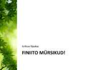 Halvad näited esitlusest #9
