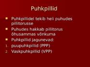Puhkpillid #2