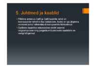 Juhtidest kaitsmeteni #6