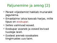 Sammaltaimed #13
