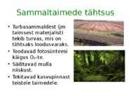 Sammaltaimed #18
