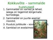 Sammaltaimed #19