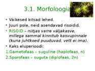 Sammaltaimed #6