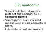 Sammaltaimed #9