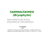 Sammaltaimed