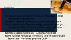 Esitlus Norrast #12