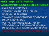 Pumbad #27
