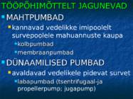 Pumbad #5