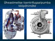 Pumbad #7