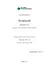PLAGIAAT