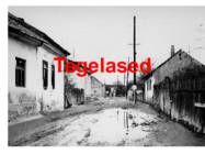 PAL-TÄNAVA POISID F-Molnar #2