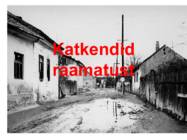 PAL-TÄNAVA POISID F-Molnar #10