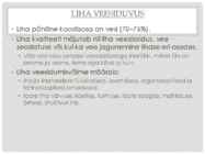 KVALITEEDI hindamine #19