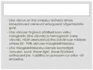 KVALITEEDI hindamine #7