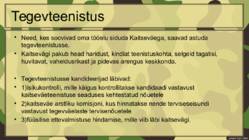 Kaitsevägi #11