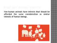 Animal rights #2