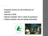 Animal rights #6