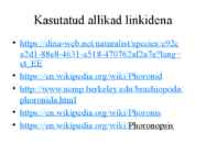 PHORONIDA - PÄRGUSSID #13