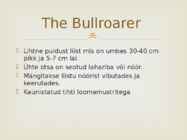 Austraalia aborigeenide muusikainstrumendid #8