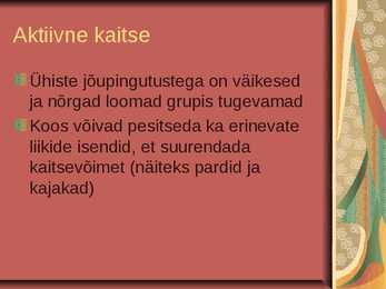 Grupieluviis ja territoriaalsus #7