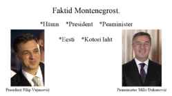 Montenegro #8