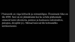 KAUKAASIA #7