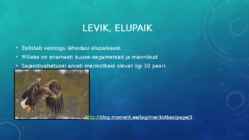 Läänemere elukooslus #10