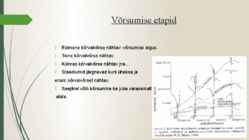 Võrsumine #4