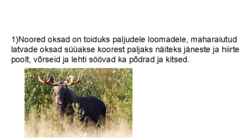 Haab #3