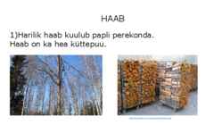 Haab #6
