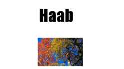 Haab